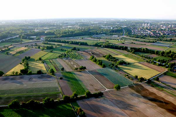 Karlsruher Feld