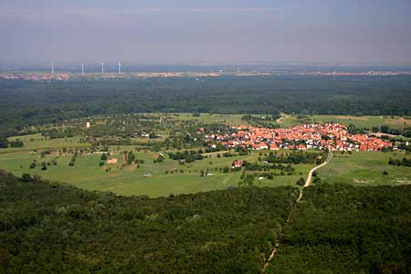 Büchelberg - Lage im Bienwald